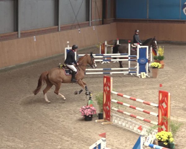 Reitturnier Osterholz 2023