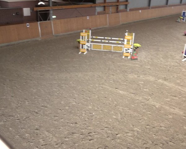 Reitturnier Osterholz 2023