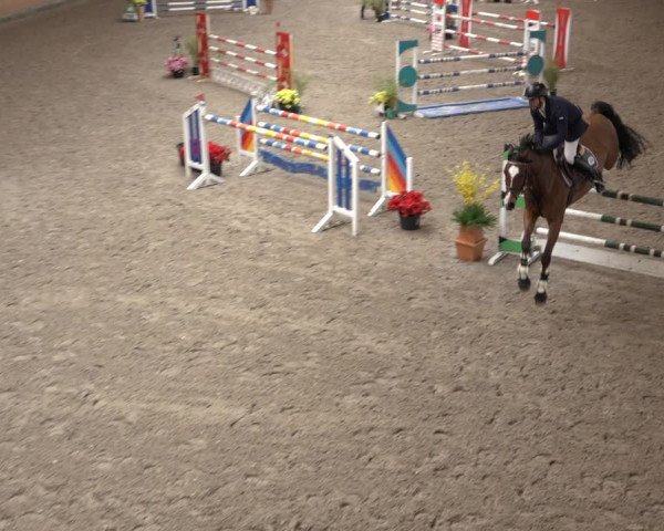 Reitturnier Osterholz 2023