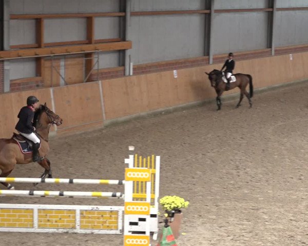 Reitturnier Osterholz 2023