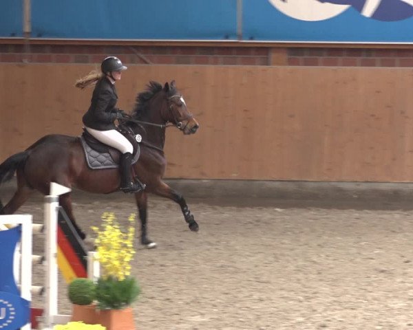 Reitturnier Osterholz 2023