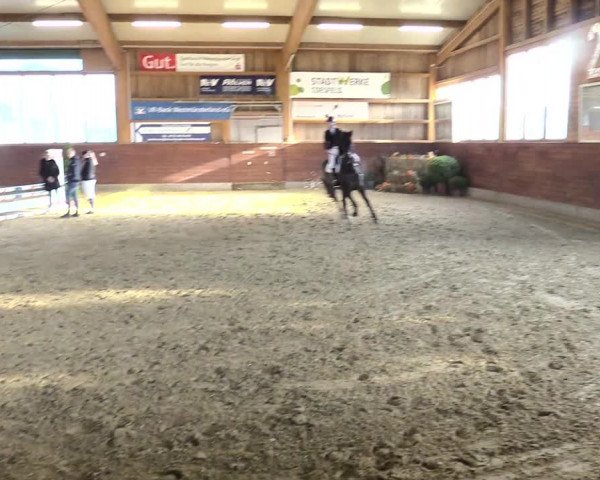 Reitturnier Coesfeld/Lette 2021