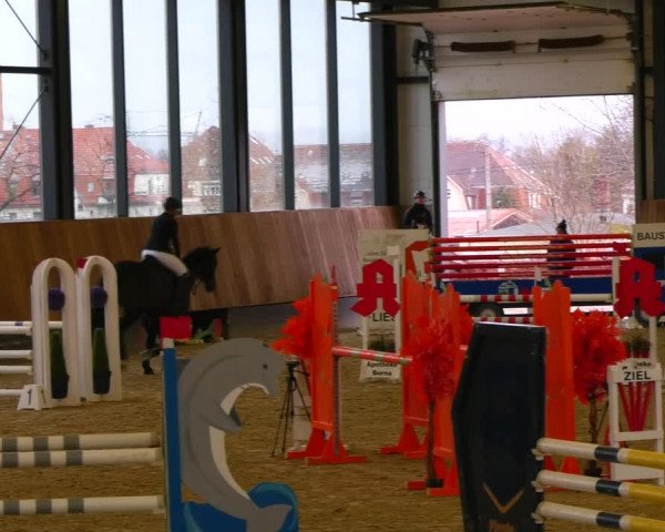 Reitturnier Zwickau 2023