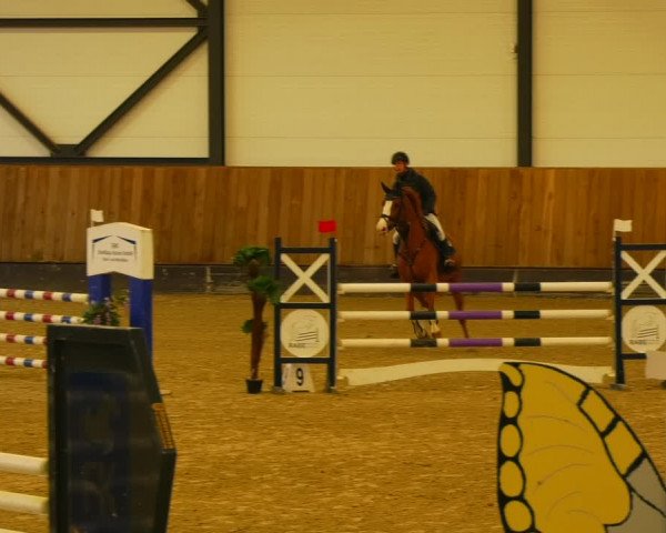 Reitturnier Zwickau 2023