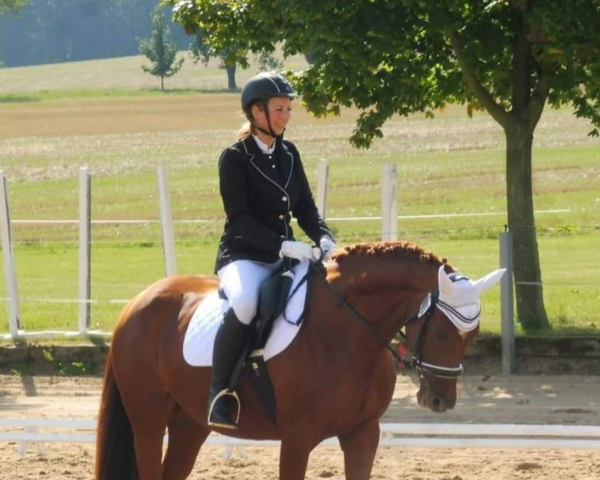 Zuchtstute Classikel's Nenya (Deutsches Sportpferd, 2008, von Classikels)