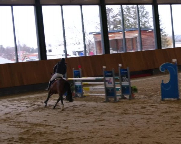 Reitturnier Zwickau 2023