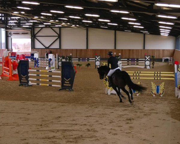 Reitturnier Zwickau 2023