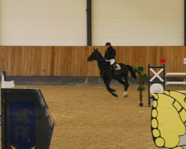 Reitturnier Zwickau 2023