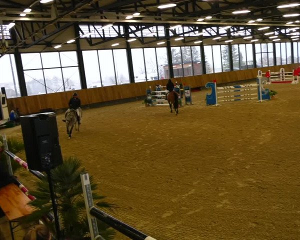 Reitturnier Zwickau 2023