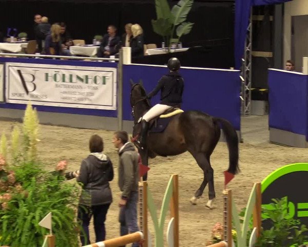 FEI Reitturnier Neumünster (GER) 2021