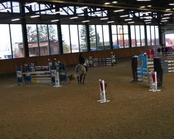 Reitturnier Zwickau 2023