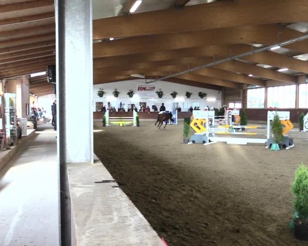 Reitturnier Coesfeld/Lette 2021