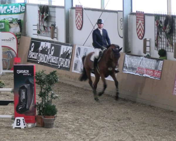 Reitturnier Borgholzhausen-Westbarthausen 2023