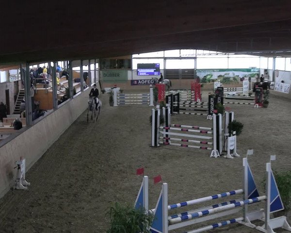Reitturnier Borgholzhausen-Westbarthausen 2023