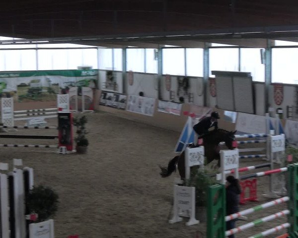 Reitturnier Borgholzhausen-Westbarthausen 2023
