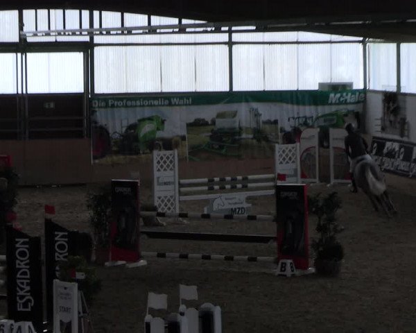 Reitturnier Borgholzhausen-Westbarthausen 2023