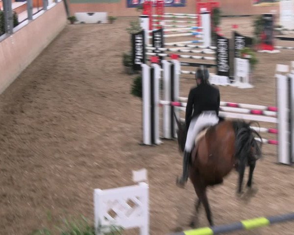 Reitturnier Borgholzhausen-Westbarthausen 2023