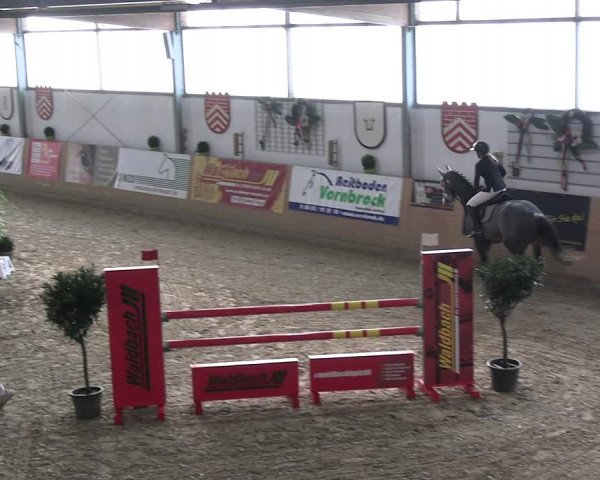Reitturnier Borgholzhausen-Westbarthausen 2023