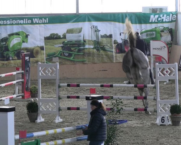 Reitturnier Borgholzhausen-Westbarthausen 2023