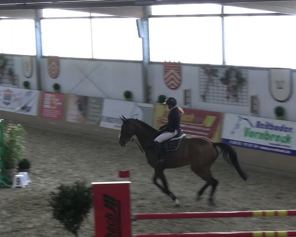 Reitturnier Borgholzhausen-Westbarthausen 2023