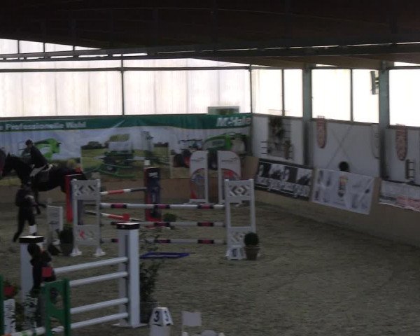 Reitturnier Borgholzhausen-Westbarthausen 2023