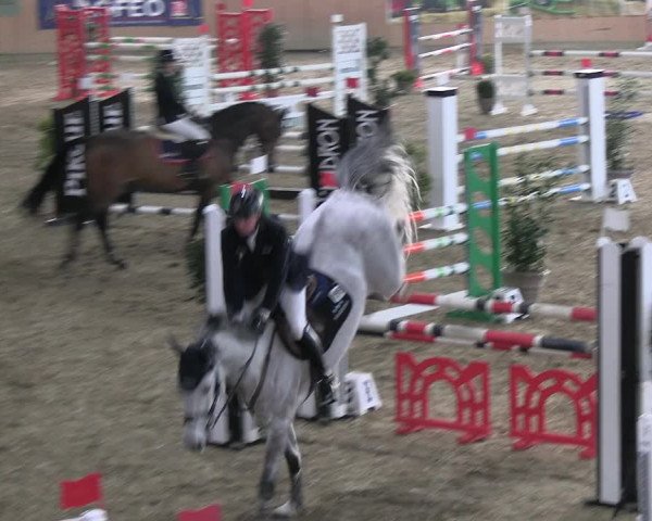 Reitturnier Borgholzhausen-Westbarthausen 2023