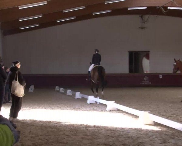 Reitturnier Eicherloh RH Laurent/Obb. 2023