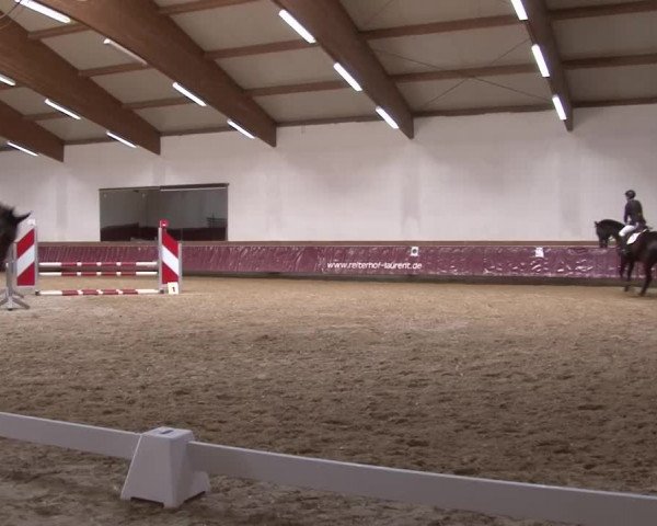 Reitturnier Eicherloh RH Laurent/Obb. 2023