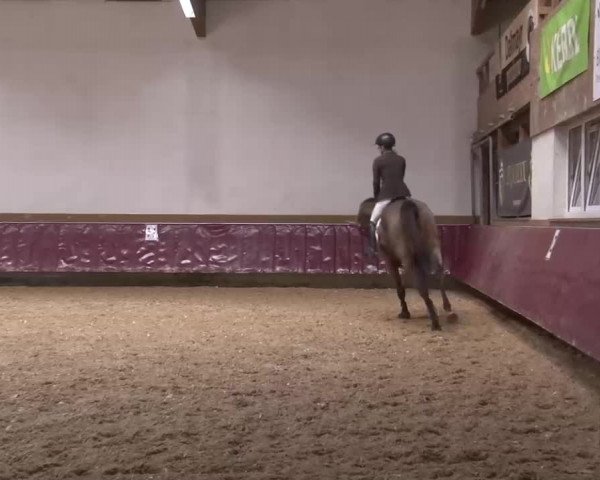 Reitturnier Eicherloh RH Laurent/Obb. 2023