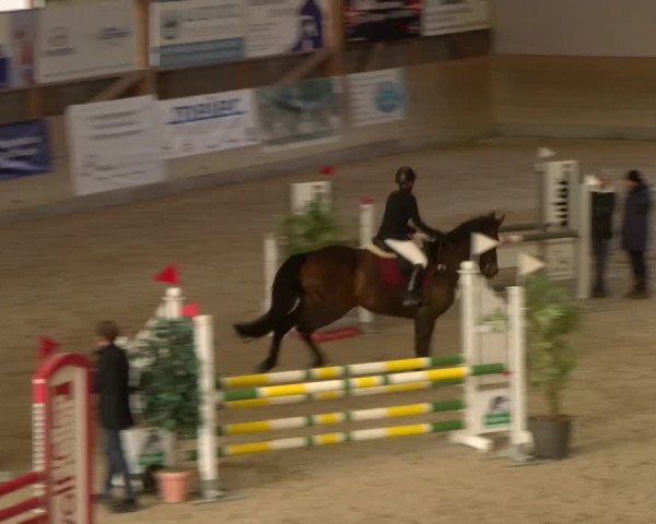 Reitturnier Schaffhausen 2023