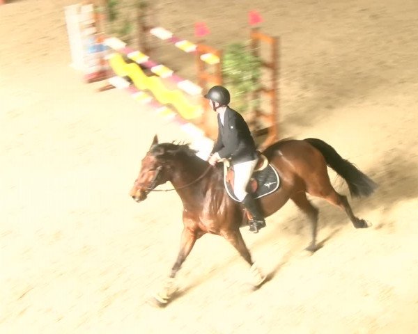 Reitturnier Schaffhausen 2023