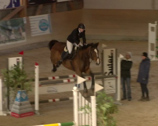 Reitturnier Schaffhausen 2023
