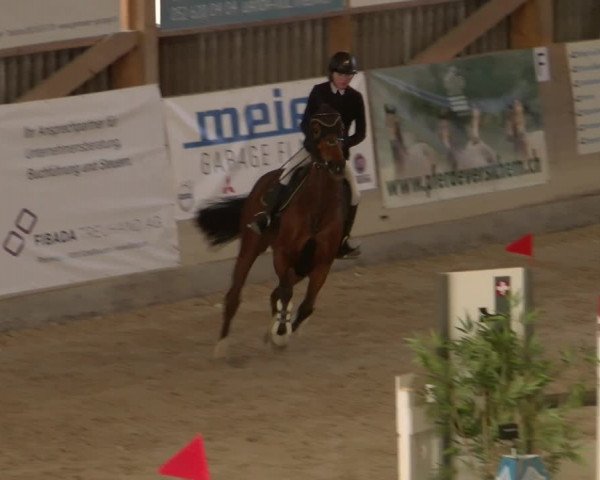 Reitturnier Schaffhausen 2023