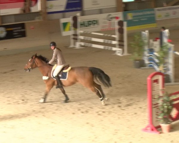 Reitturnier Schaffhausen 2023