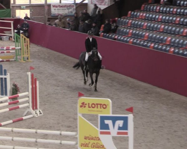 Reitturnier Krumke 2023