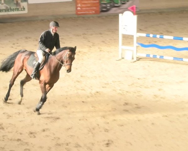 Reitturnier Schaffhausen 2023