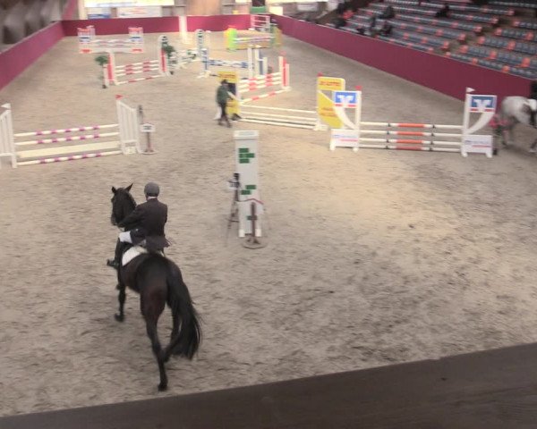 Reitturnier Krumke 2023