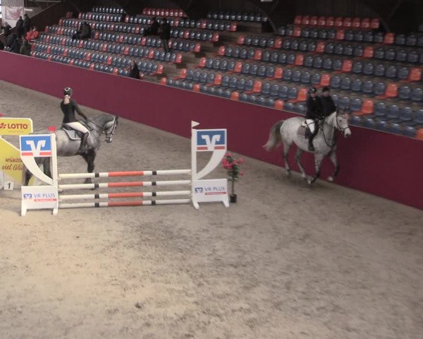 Reitturnier Krumke 2023