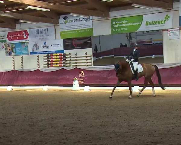 Reitturnier Eicherloh RH Laurent/Obb. 2023