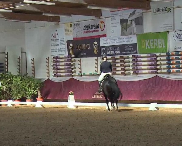 Reitturnier Eicherloh RH Laurent/Obb. 2023