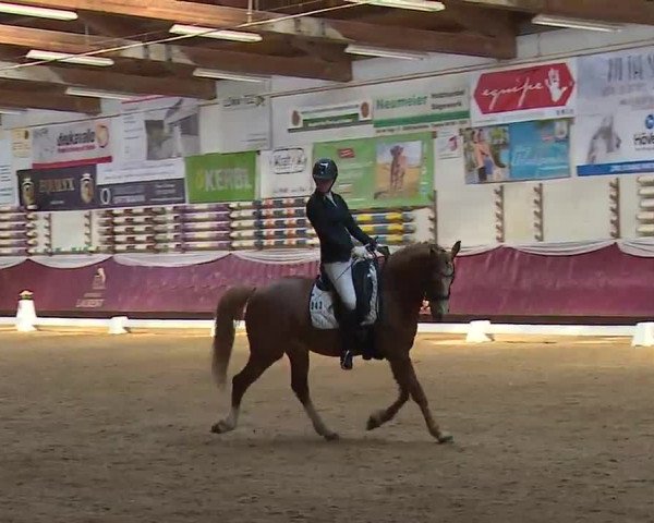Reitturnier Eicherloh RH Laurent/Obb. 2023