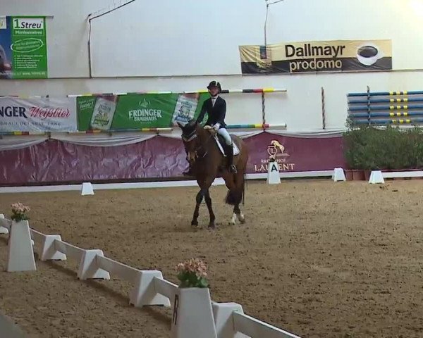 Reitturnier Eicherloh RH Laurent/Obb. 2023