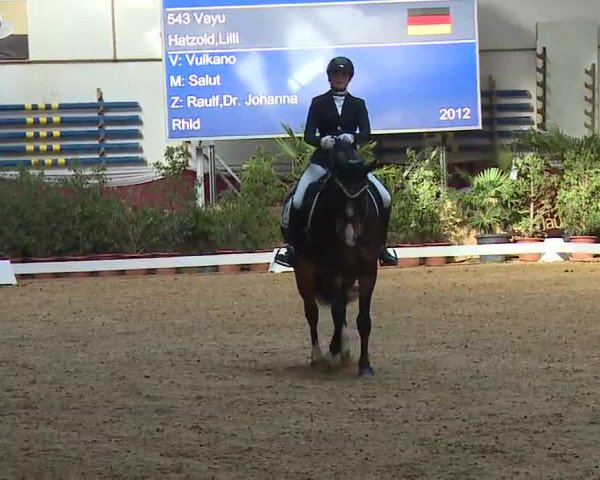Reitturnier Eicherloh RH Laurent/Obb. 2023
