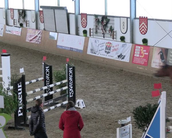 Reitturnier Borgholzhausen-Westbarthausen 2023