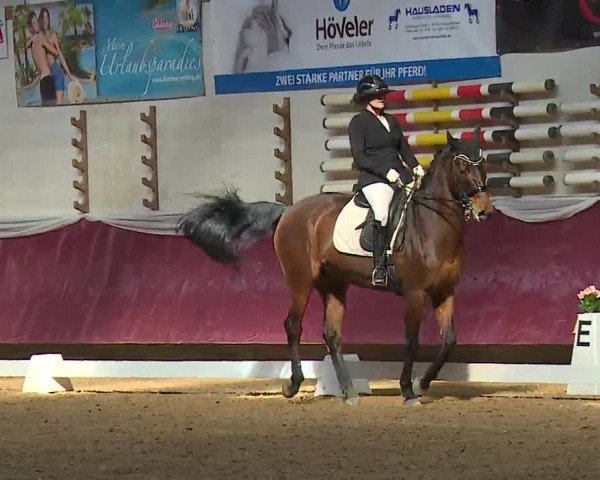 Reitturnier Eicherloh RH Laurent/Obb. 2023