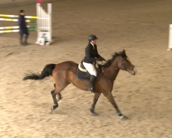 Reitturnier Schaffhausen 2023
