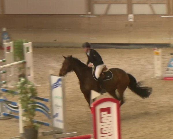 Reitturnier Schaffhausen 2023