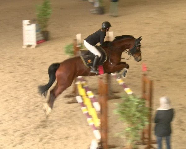 Reitturnier Schaffhausen 2023