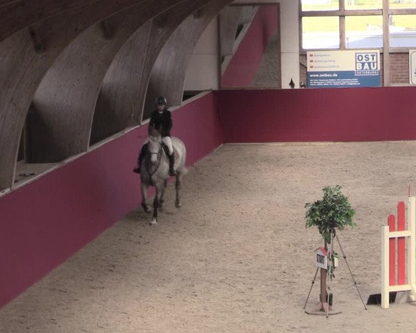 Reitturnier Krumke 2023