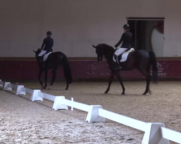 Reitturnier Eicherloh RH Laurent/Obb. 2023